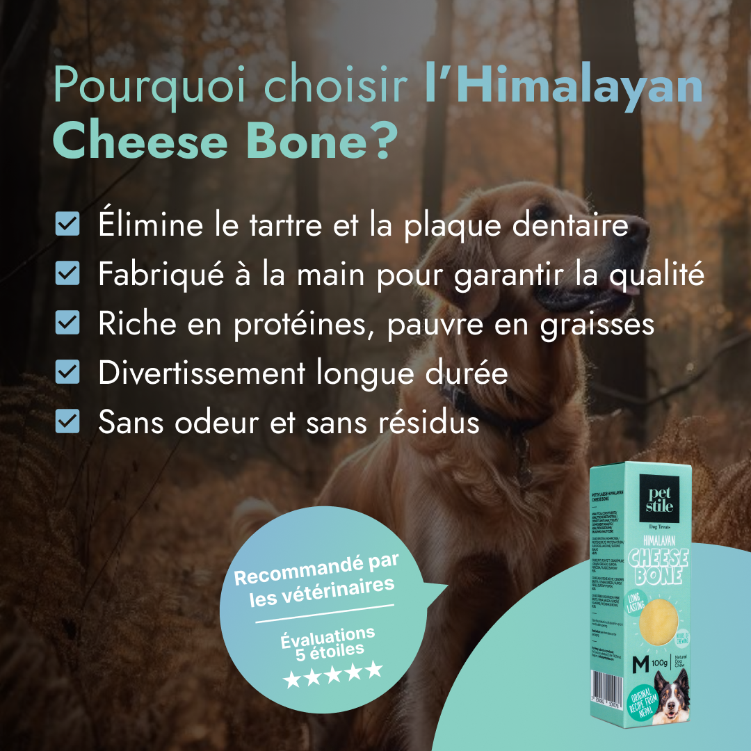 Cheese Bone - M