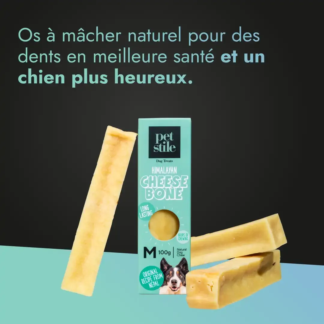 Cheese Bone - M