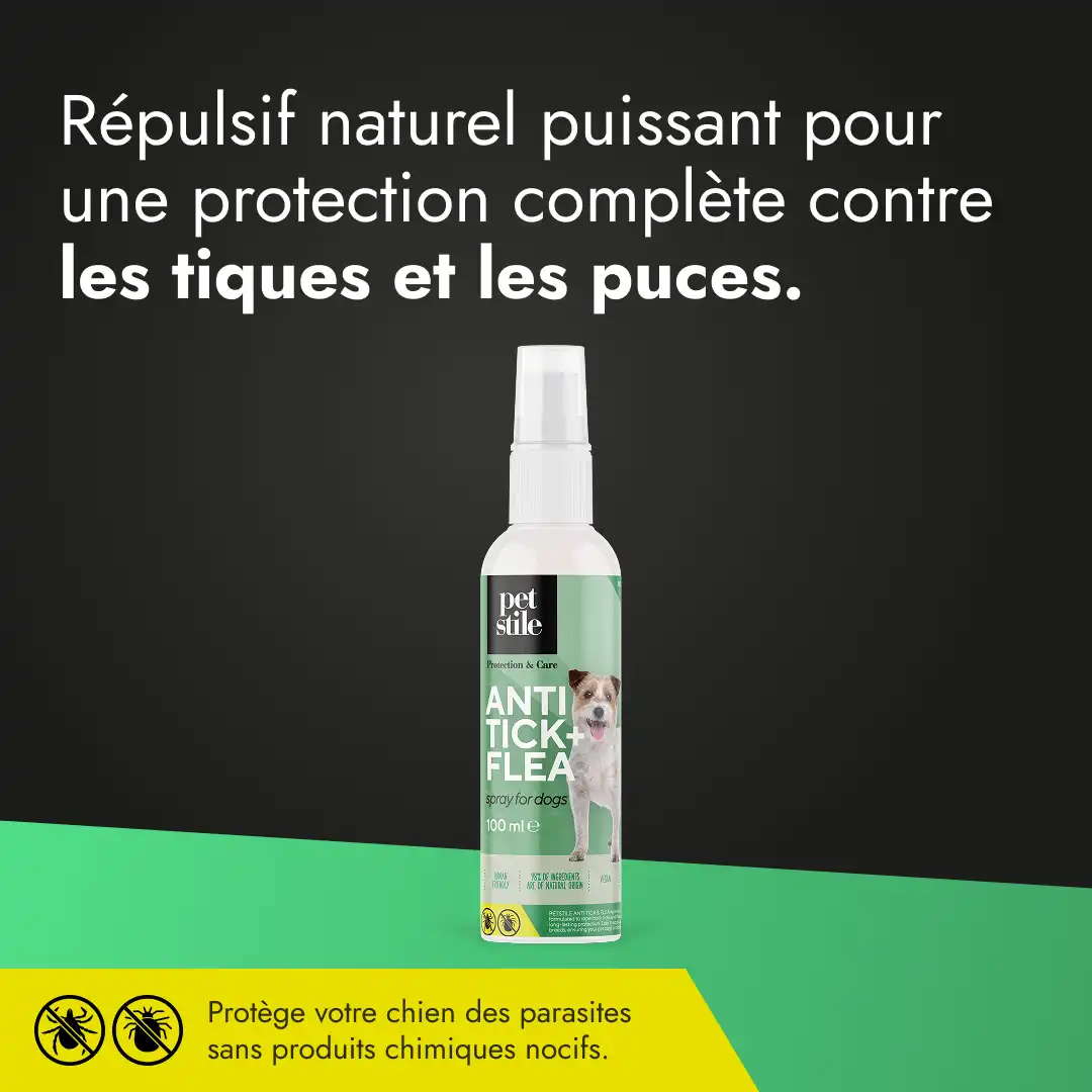 Anti Tick + Flea Spray