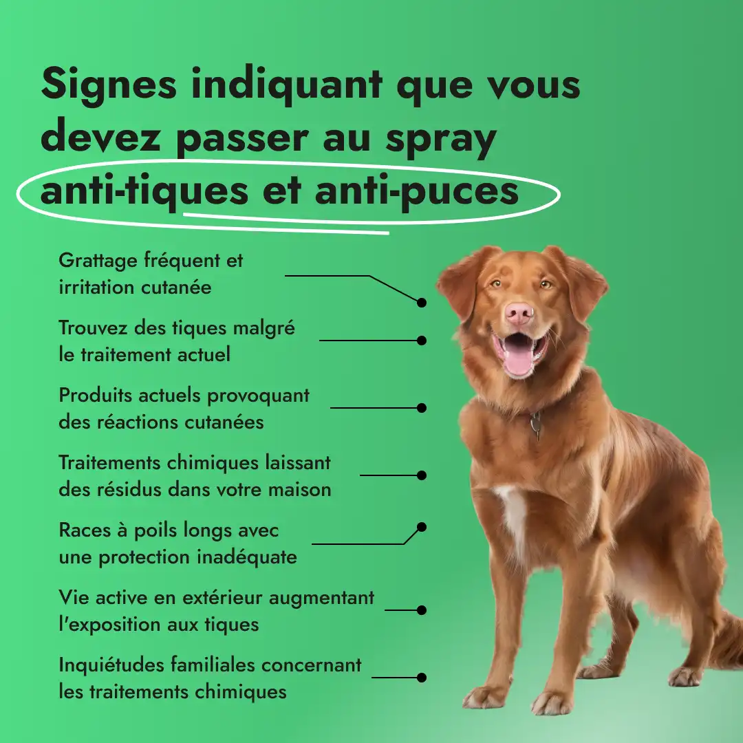 Anti Tick + Flea Spray