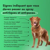 Anti Tick + Flea Spray