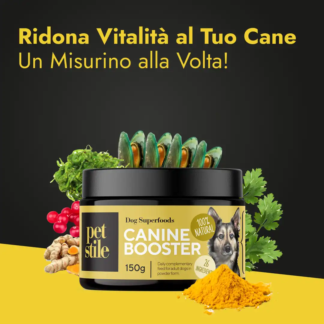 Canine Booster
