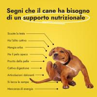 Canine Booster