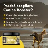 Canine Booster