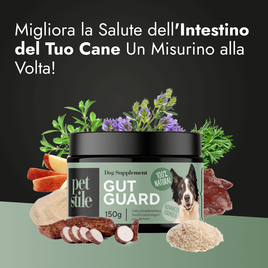 Gut Guard