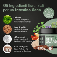 Gut Guard
