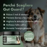 Gut Guard