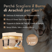 Peanut Butter for Dogs