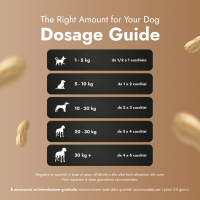 Peanut Butter for Dogs
