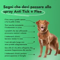 Anti Tick + Flea Spray