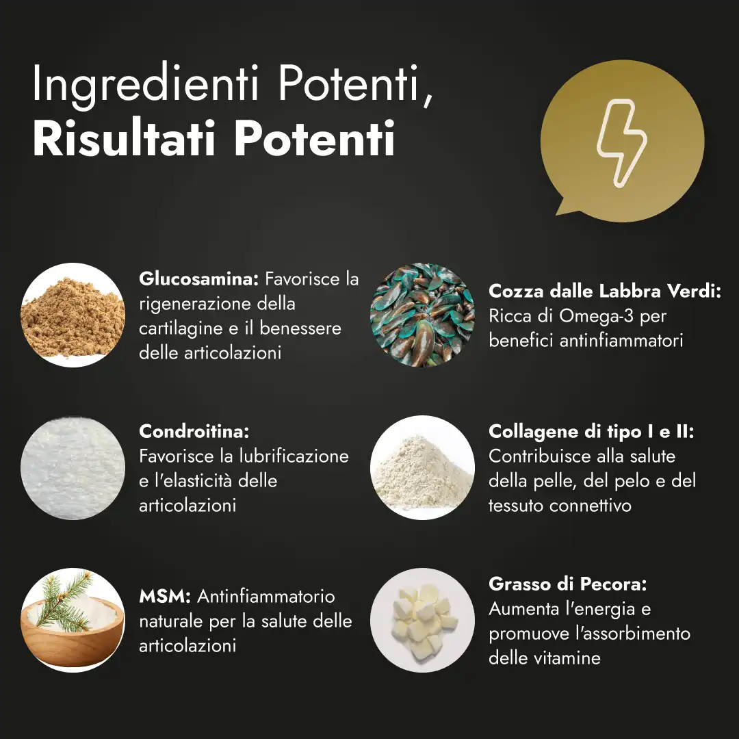 Motion Max - 90 pezzi