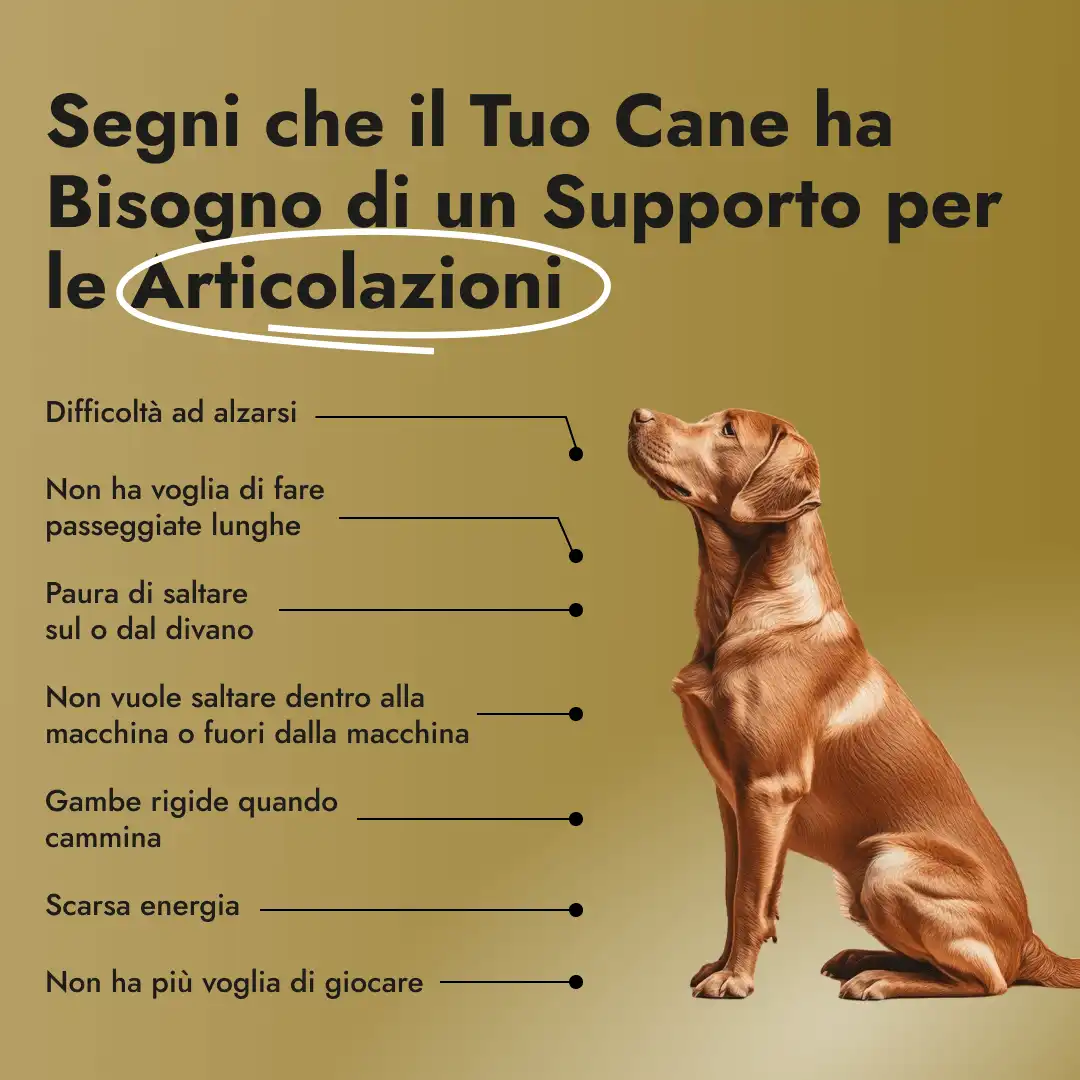 Motion Max - 90 pezzi