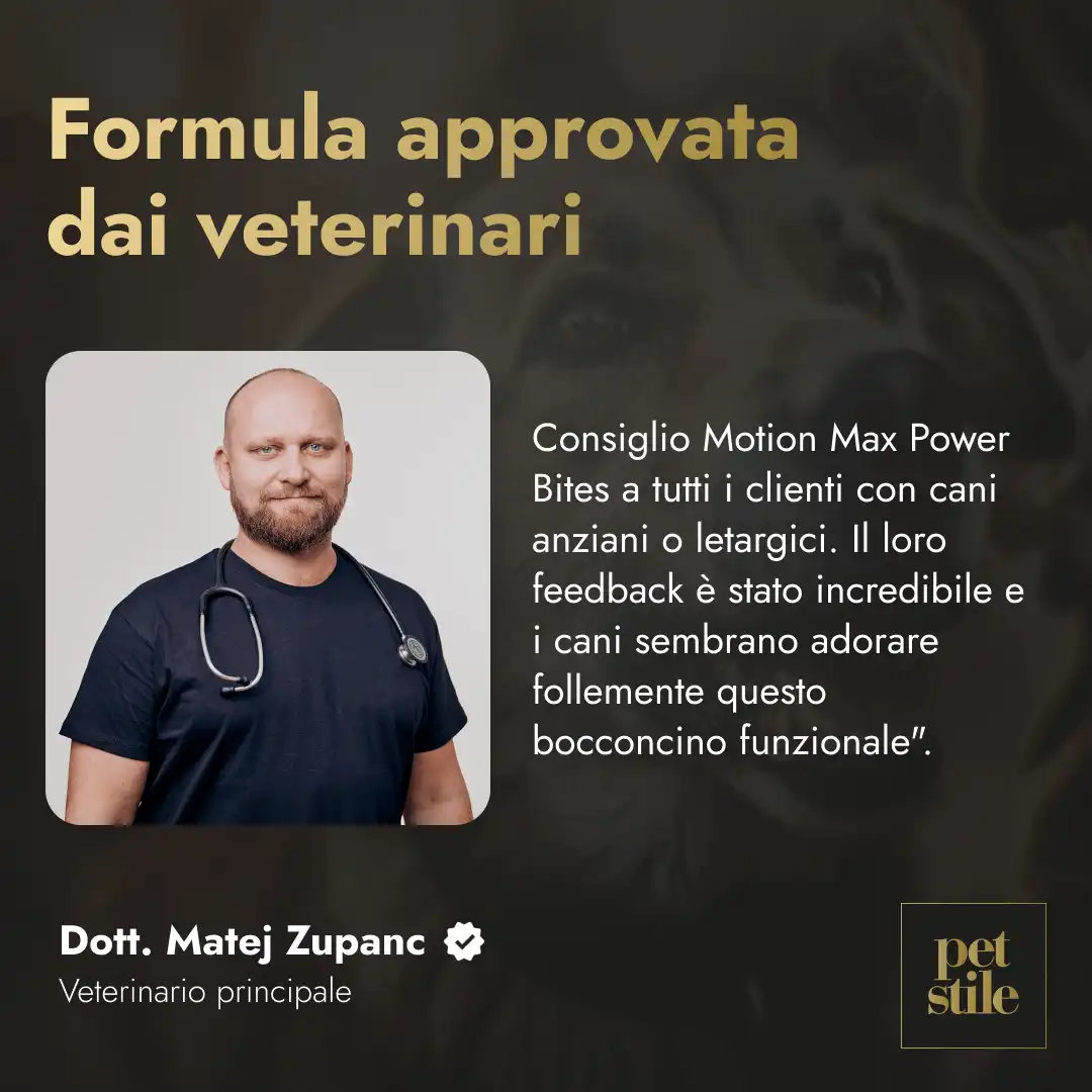 Motion Max - 90 pezzi