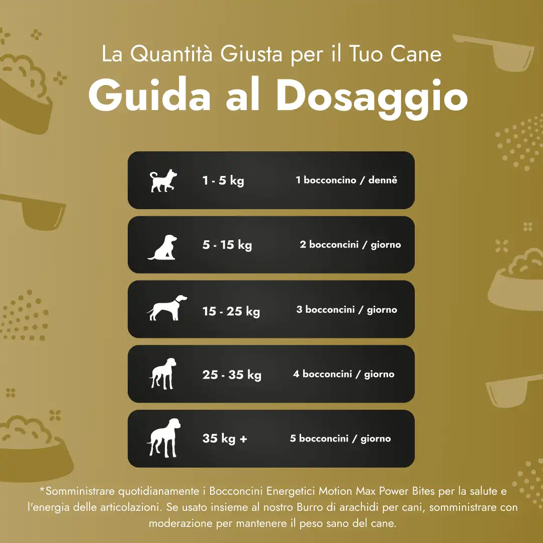 Motion Max - 90 pezzi