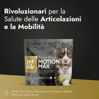 Motion Max - 90 pezzi