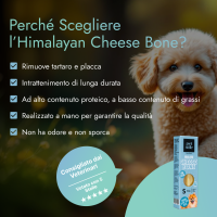 Cheese Bone - S