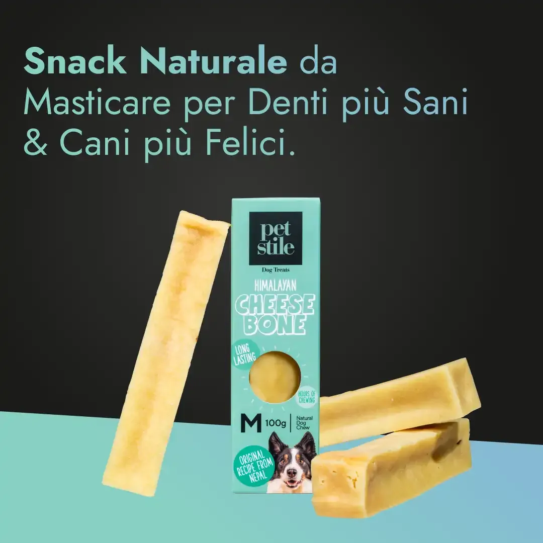 Cheese Bone - M