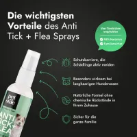 Anti Tick + Flea Spray