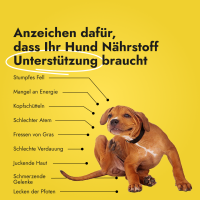 Canine Booster
