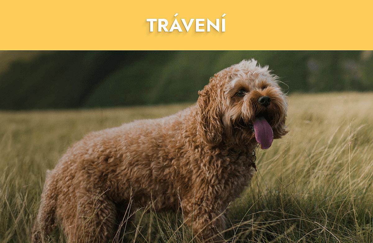 Trávení Mobile Banner