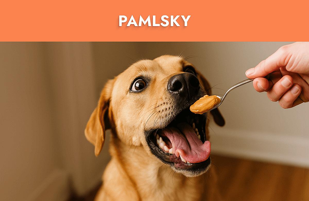 Pamlsky Mobile Banner