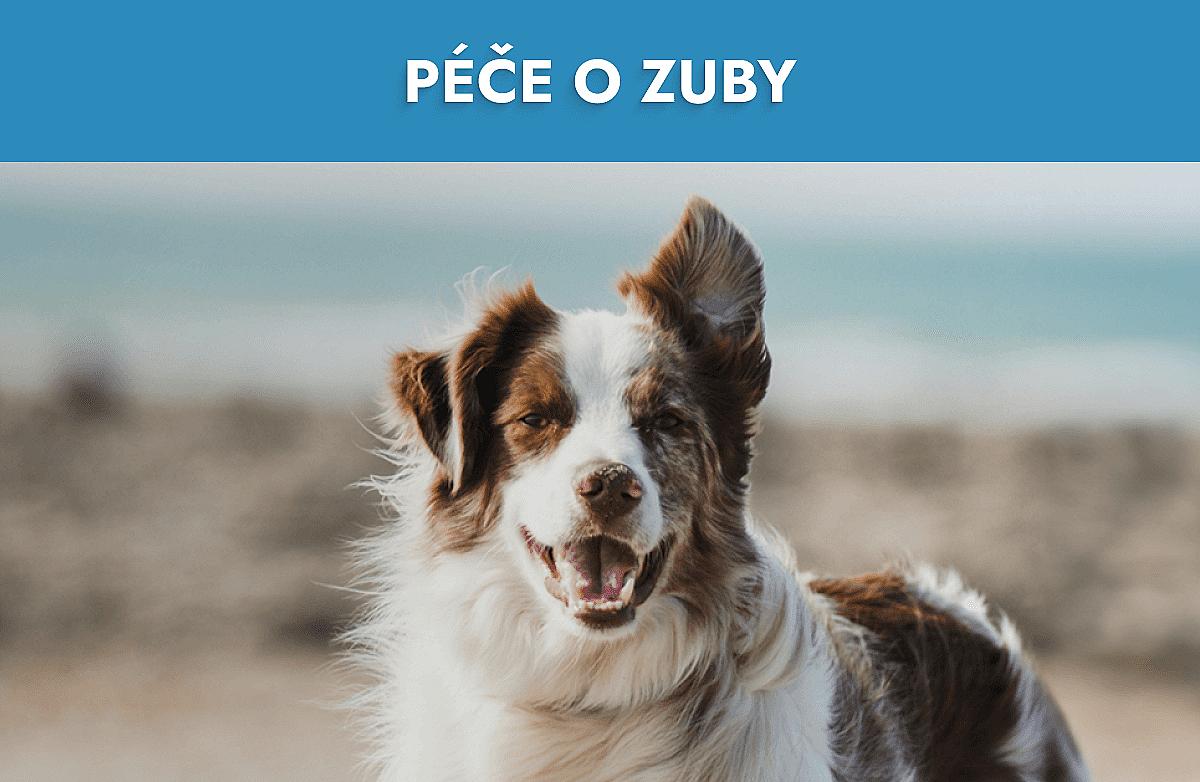 Péče o zuby Mobile Banner
