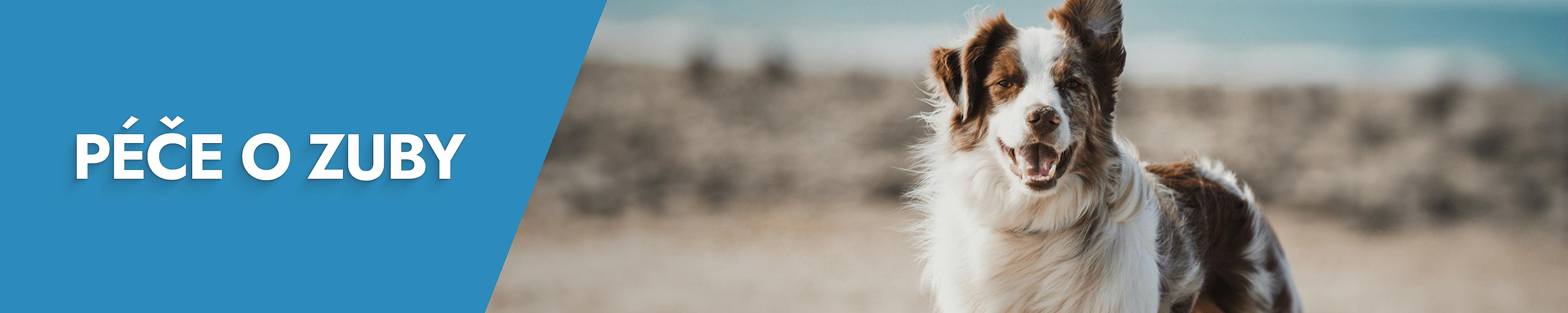 Péče o zuby Desktop Banner