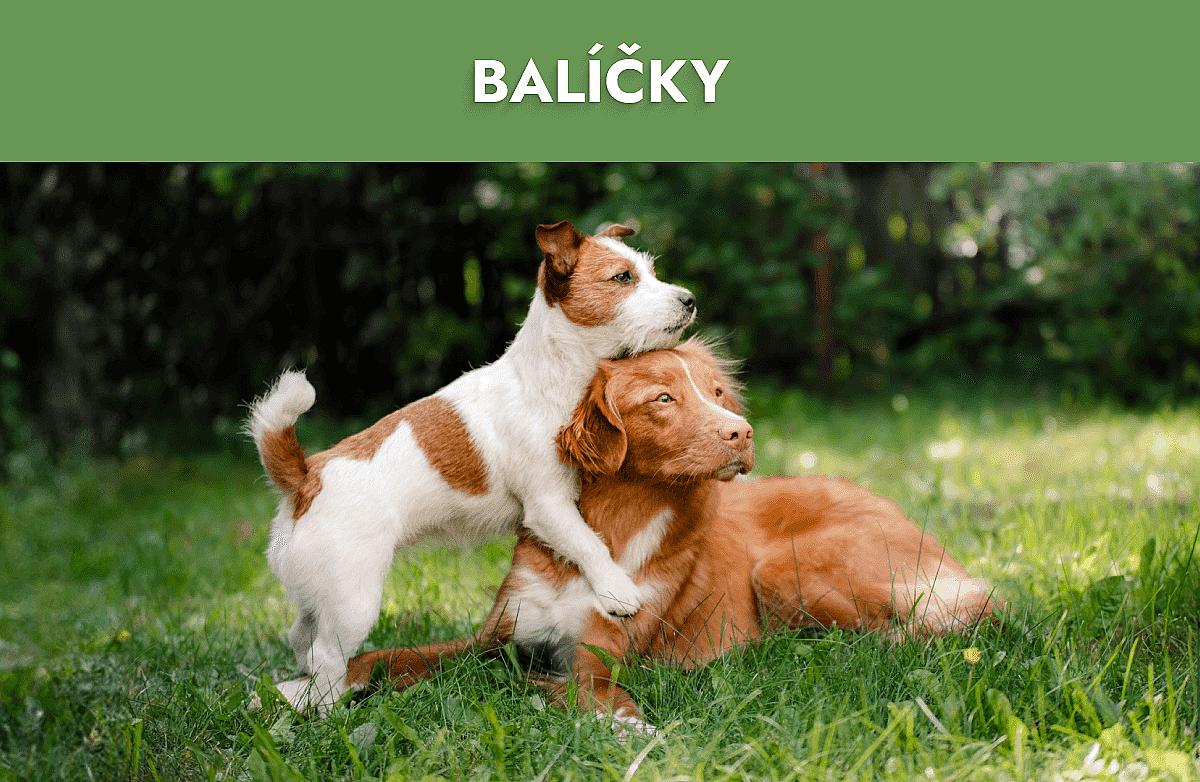 Balíčky Mobile Banner