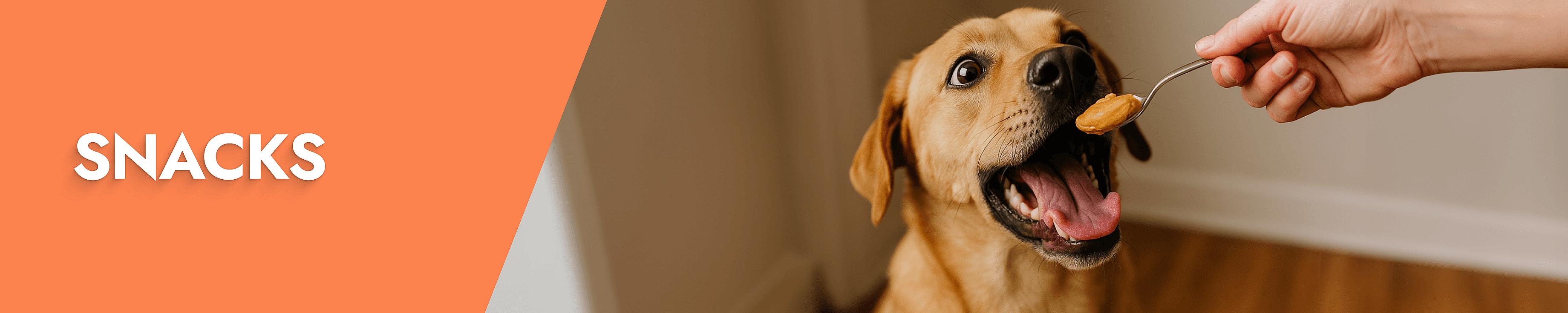 Snacks Desktop Banner
