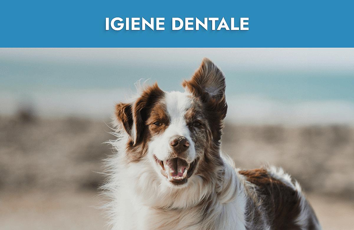 Igiene Dentale Mobile Banner