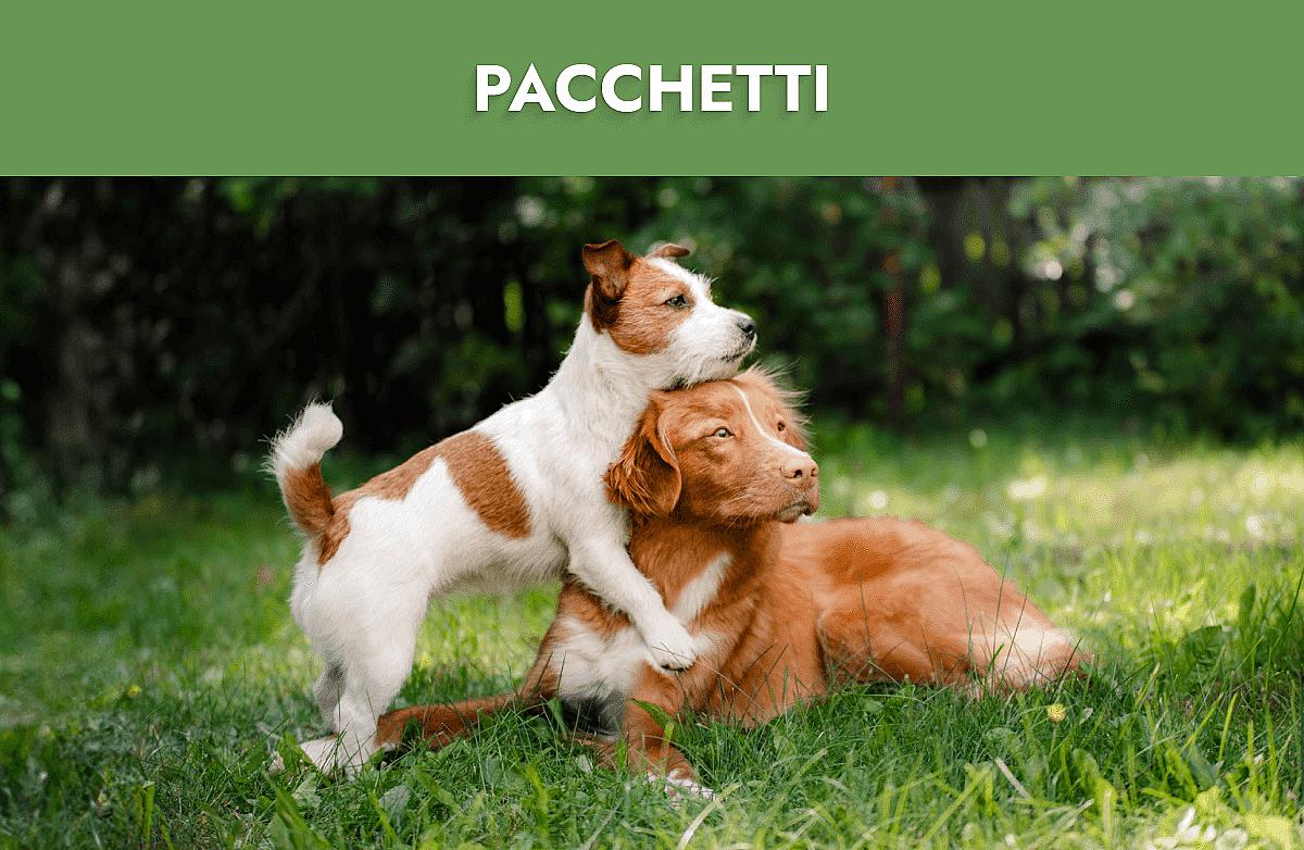 Pacchetti Mobile Banner