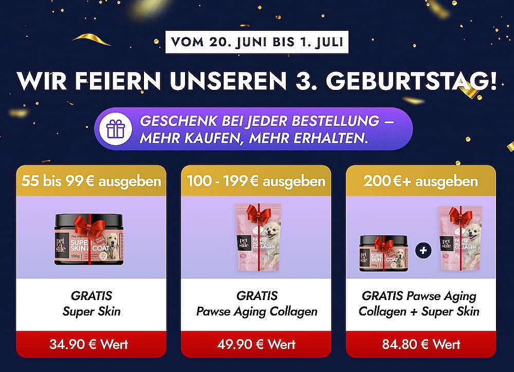 Birthday Mobile Banner