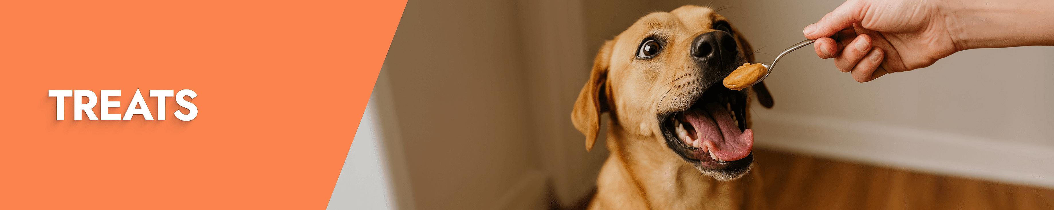 Treats Desktop Banner