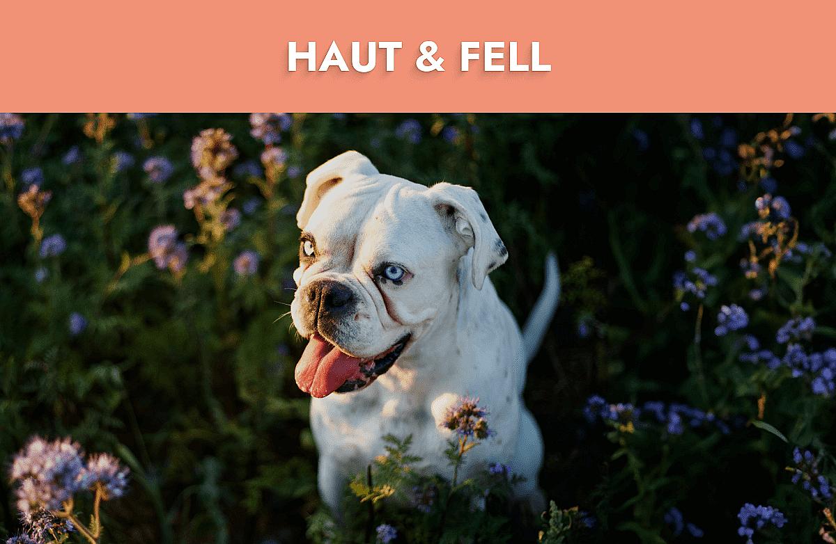 Haut & Fell Mobile Banner