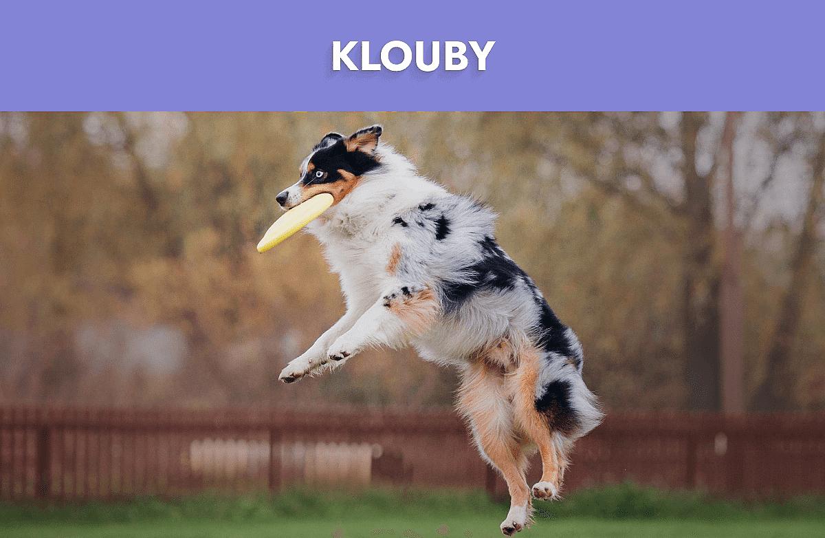Kloby Mobile Banner