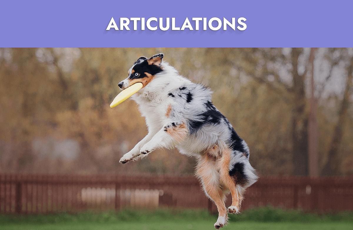 Articulations Mobile Banner